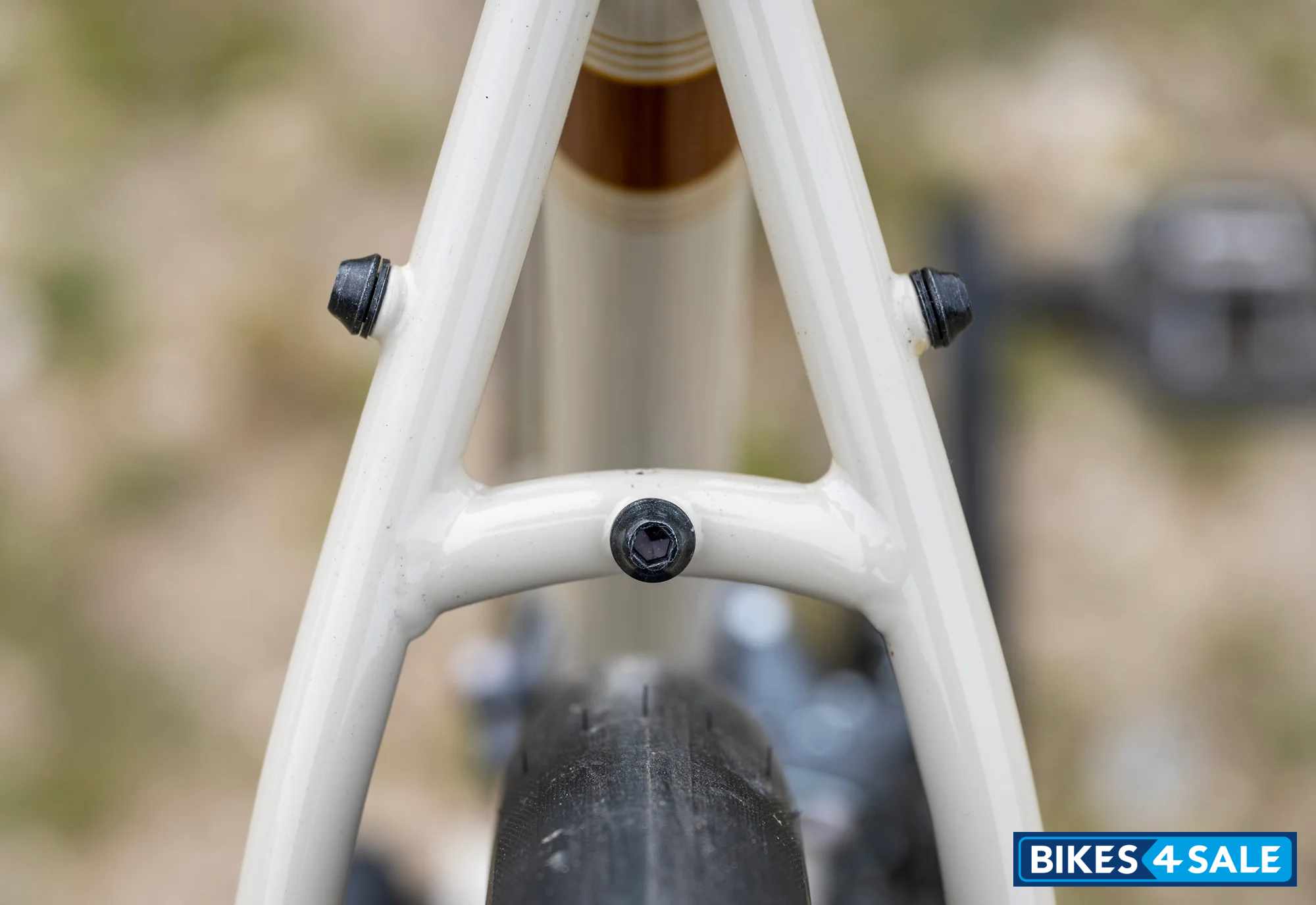 Marin Nicasio 1 2025