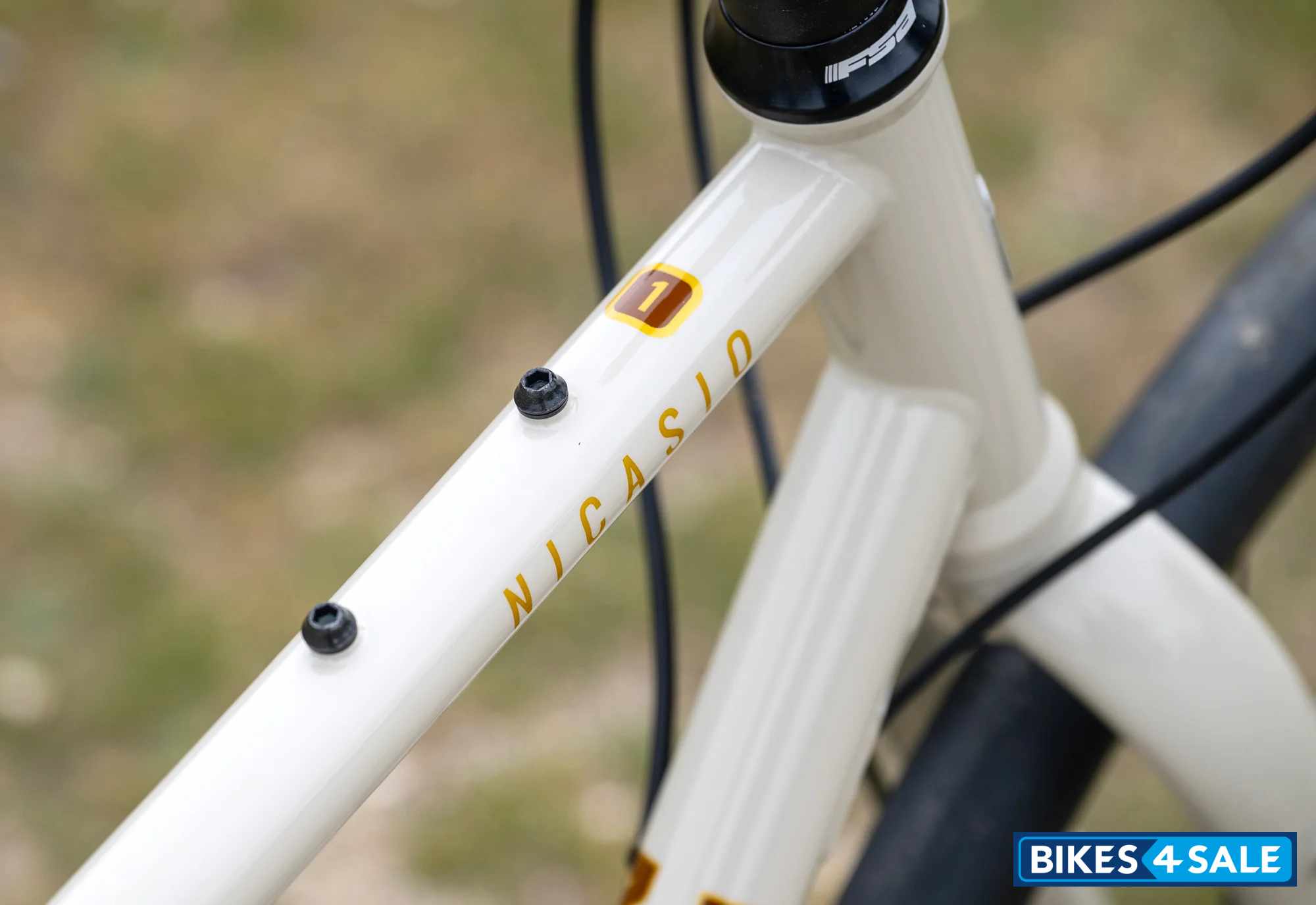 Marin Nicasio 1 2025