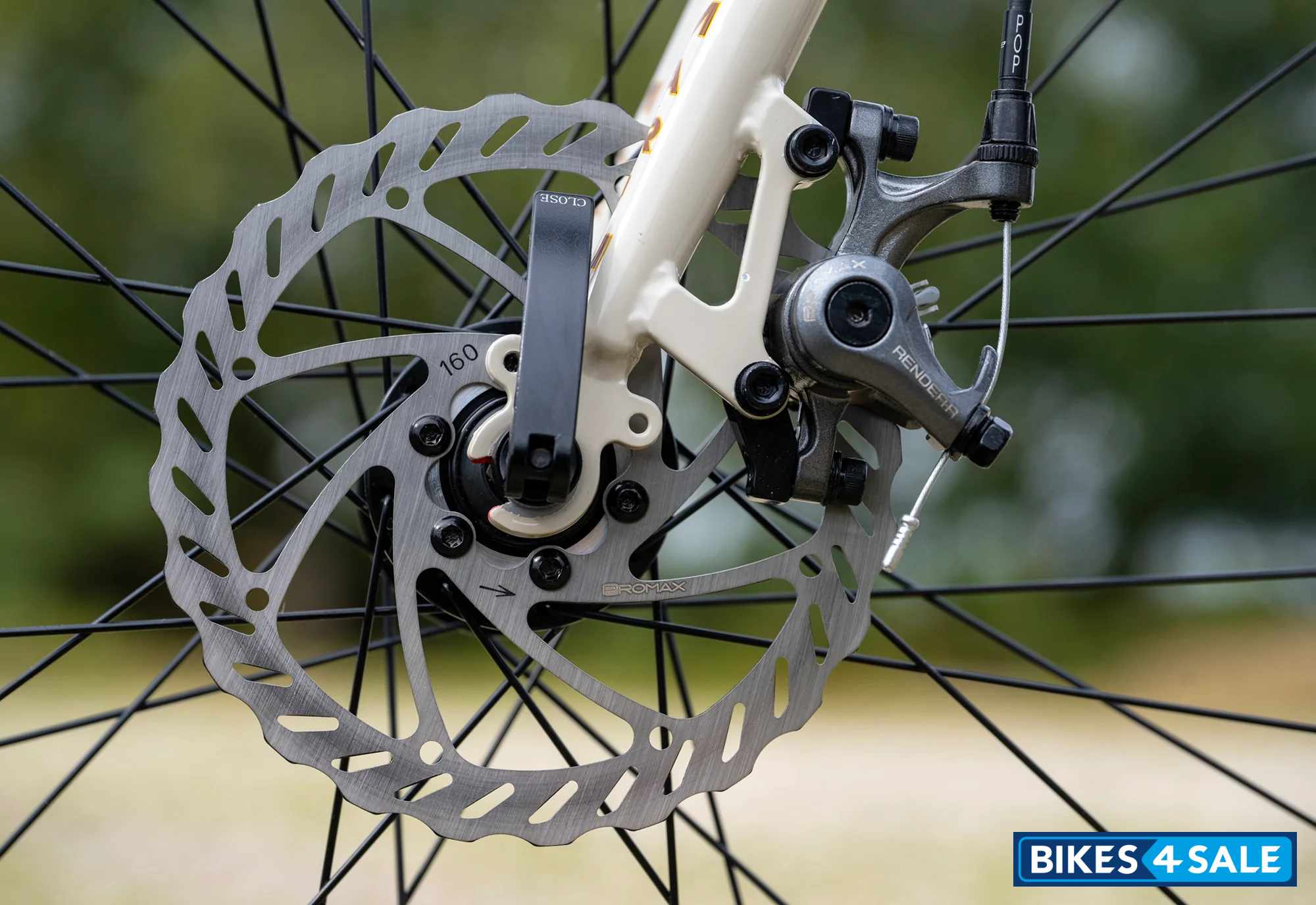 Marin Nicasio 1 2025