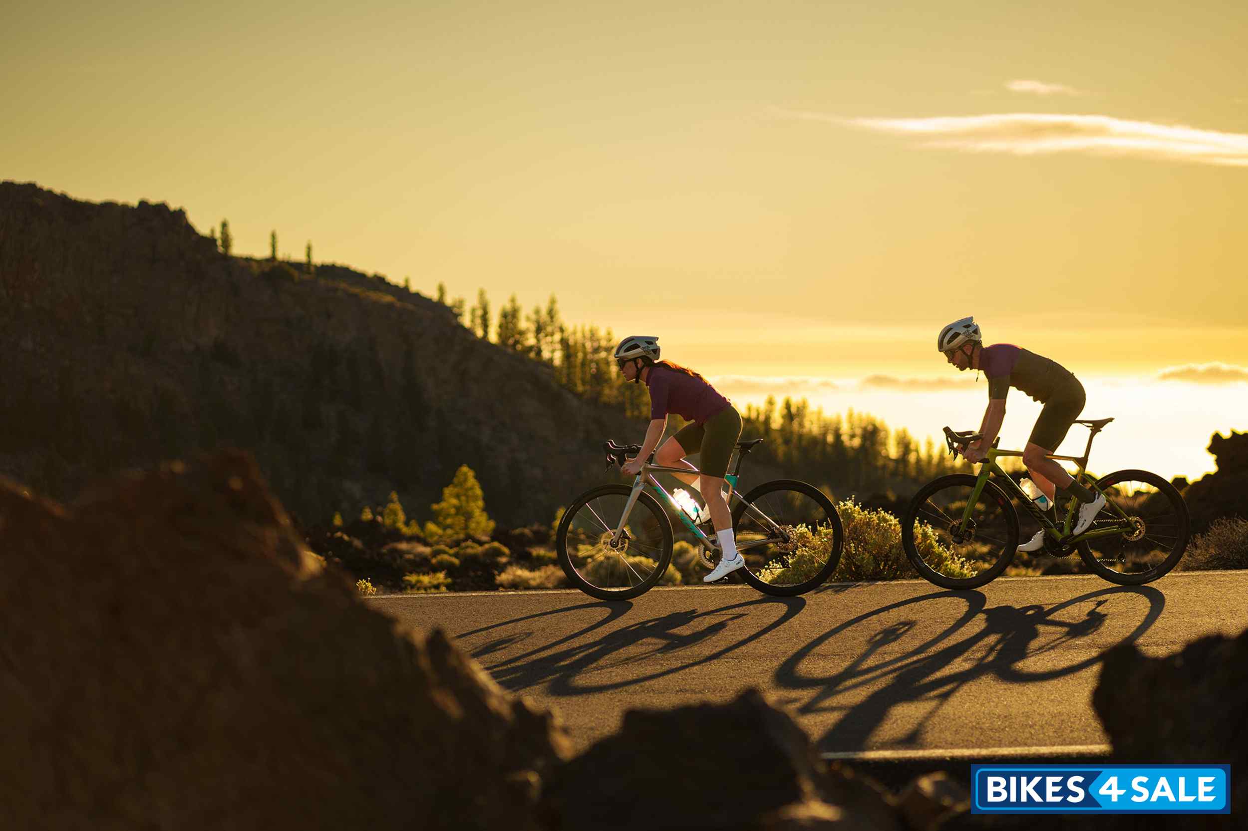 MERIDA Scultura 8000