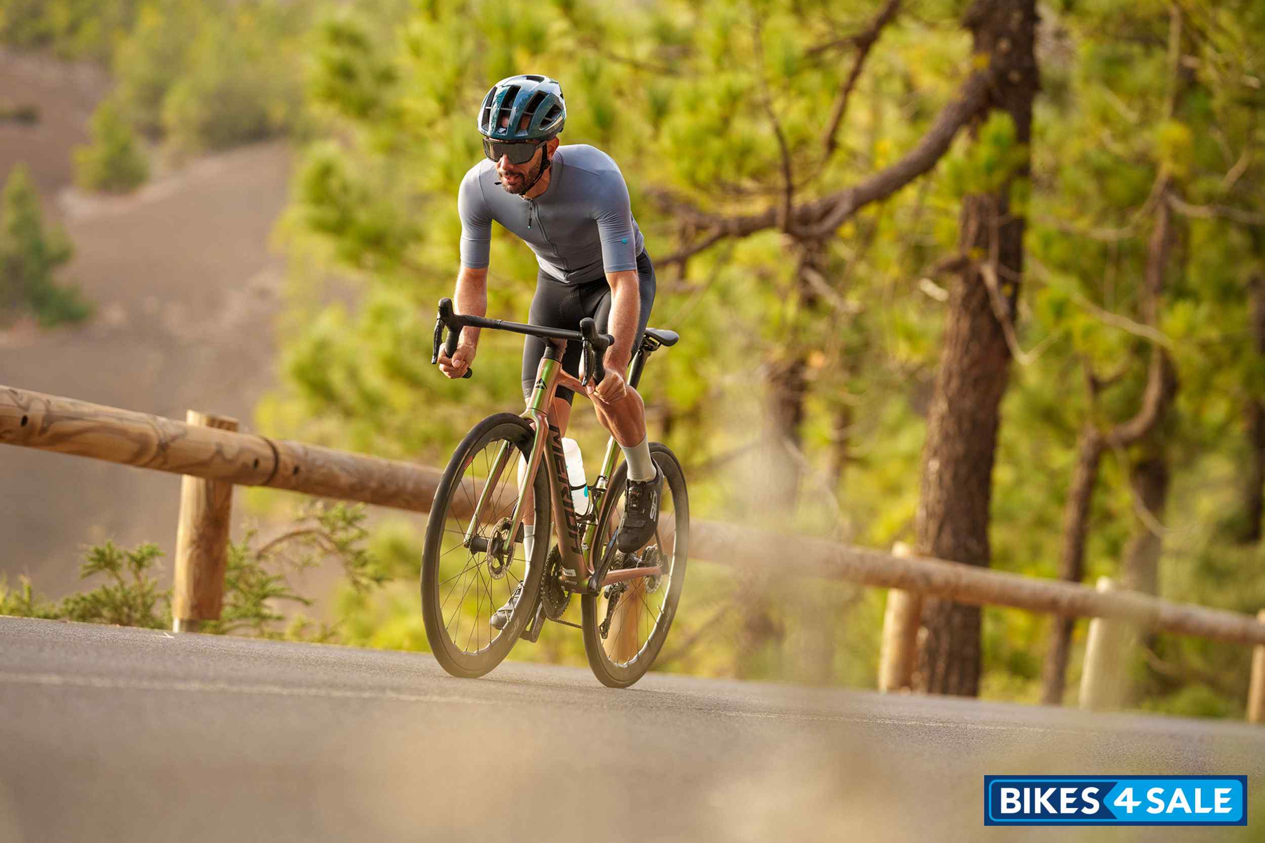 MERIDA Scultura 8000