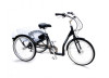 Mission Electric Adult Tricycle