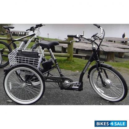 Mission Electric Adult Tricycle