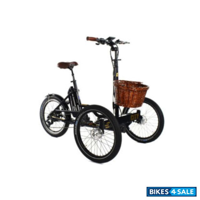 Mission Etnnic City 2.0 Electric Trike