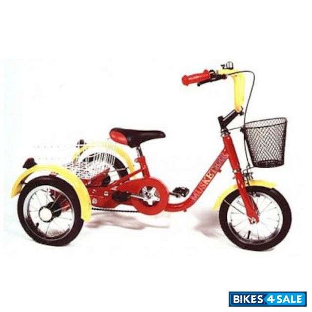 Mission Musketeer Childrens Tricycle