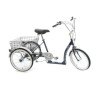 Mission Solo Adult Tricycle - Low Step - Over