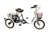 Mission Trilogy 16 Childs Tricycle