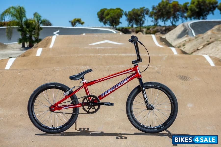 Mongoose Title Expert