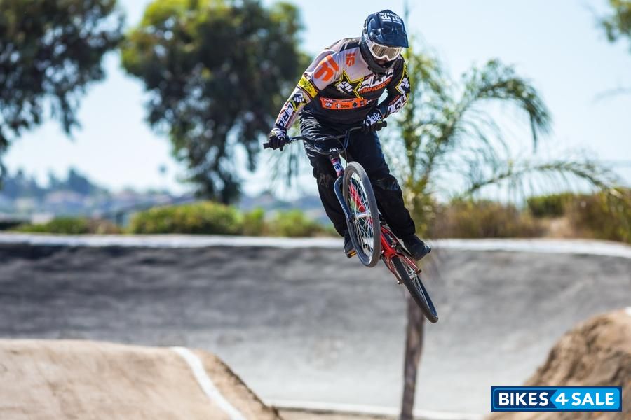 Mongoose Title Expert