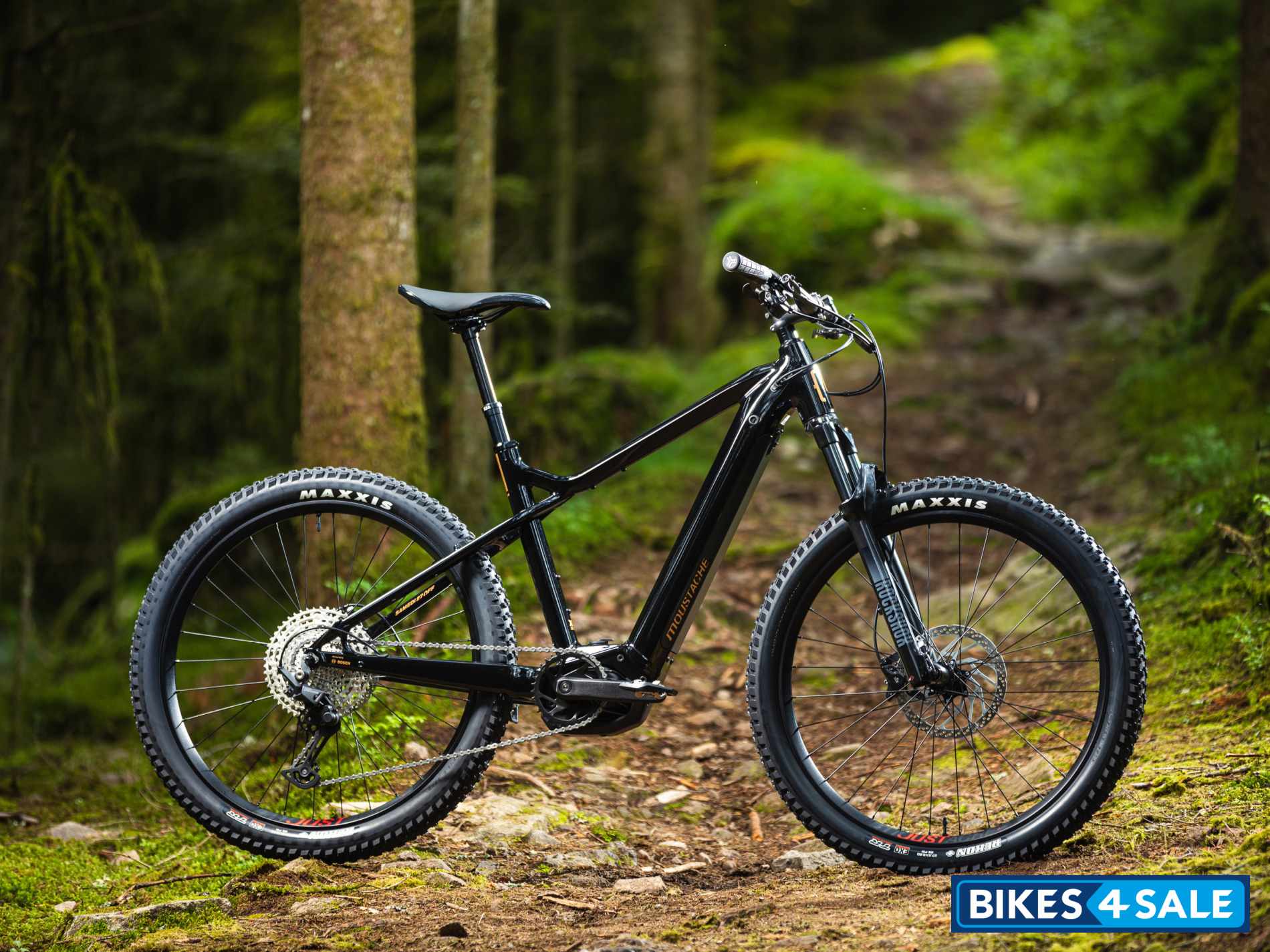 Moustache Samedi 27 Off 4