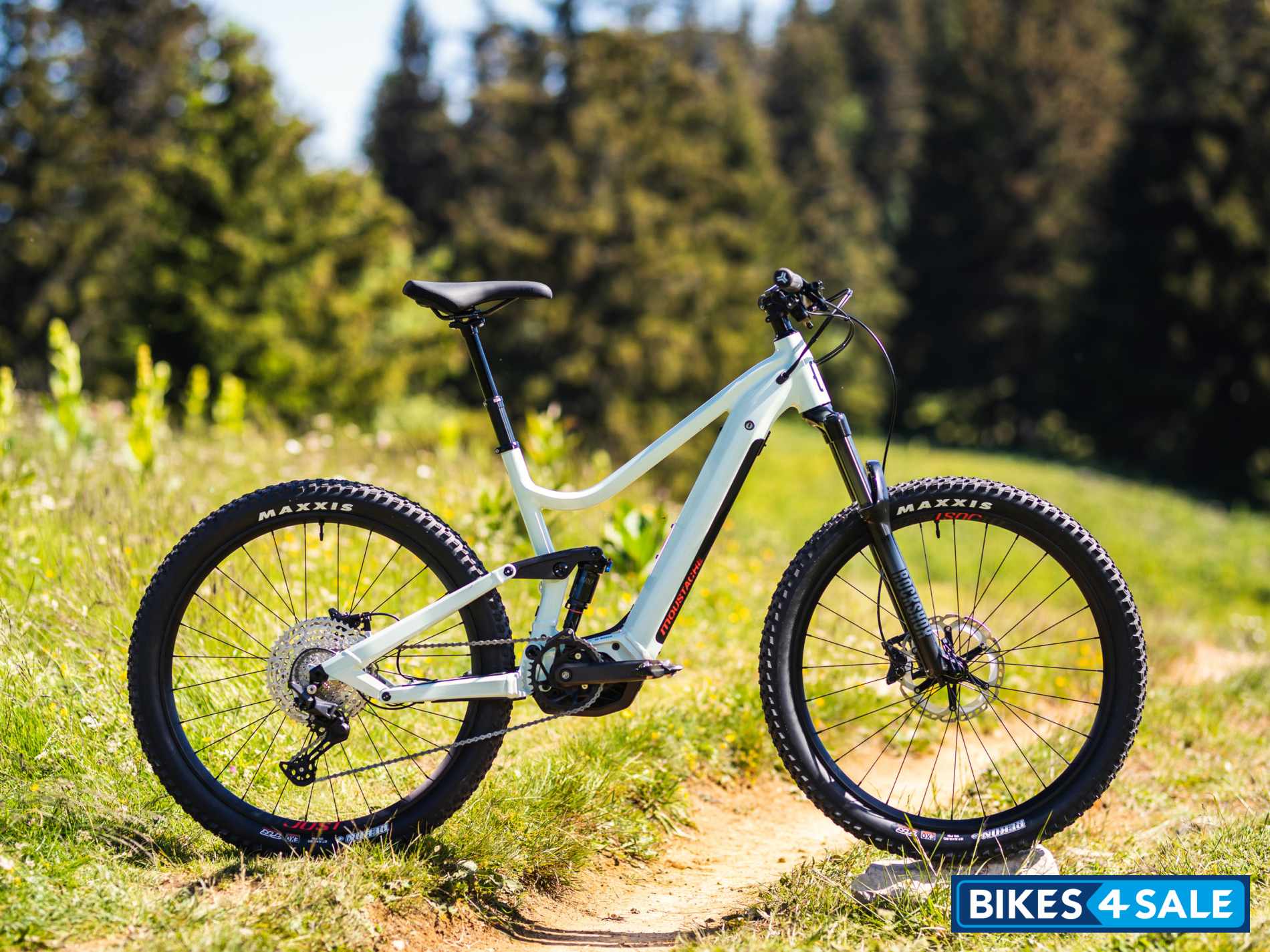 Moustache Samedi 27 Wide 4