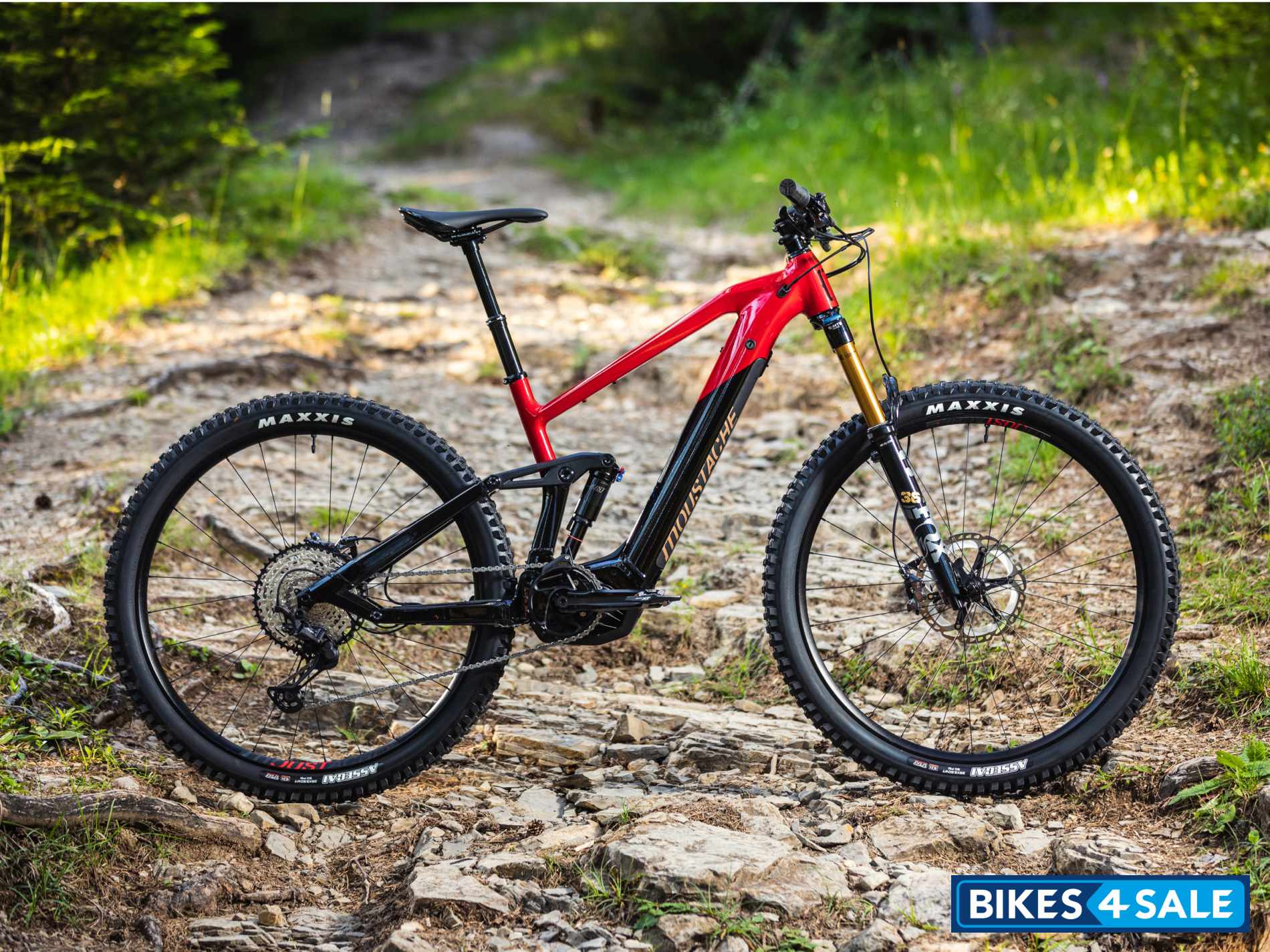 Moustache Samedi 29 Trail 2