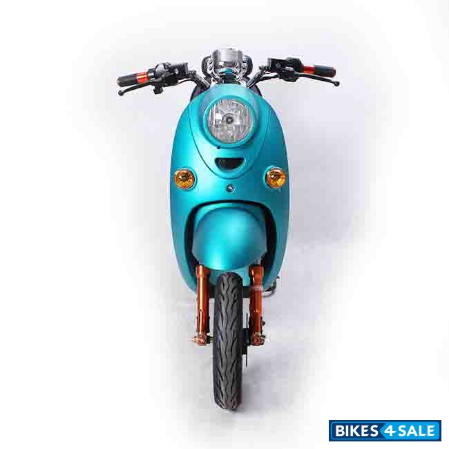 MyWay MV-little turtle