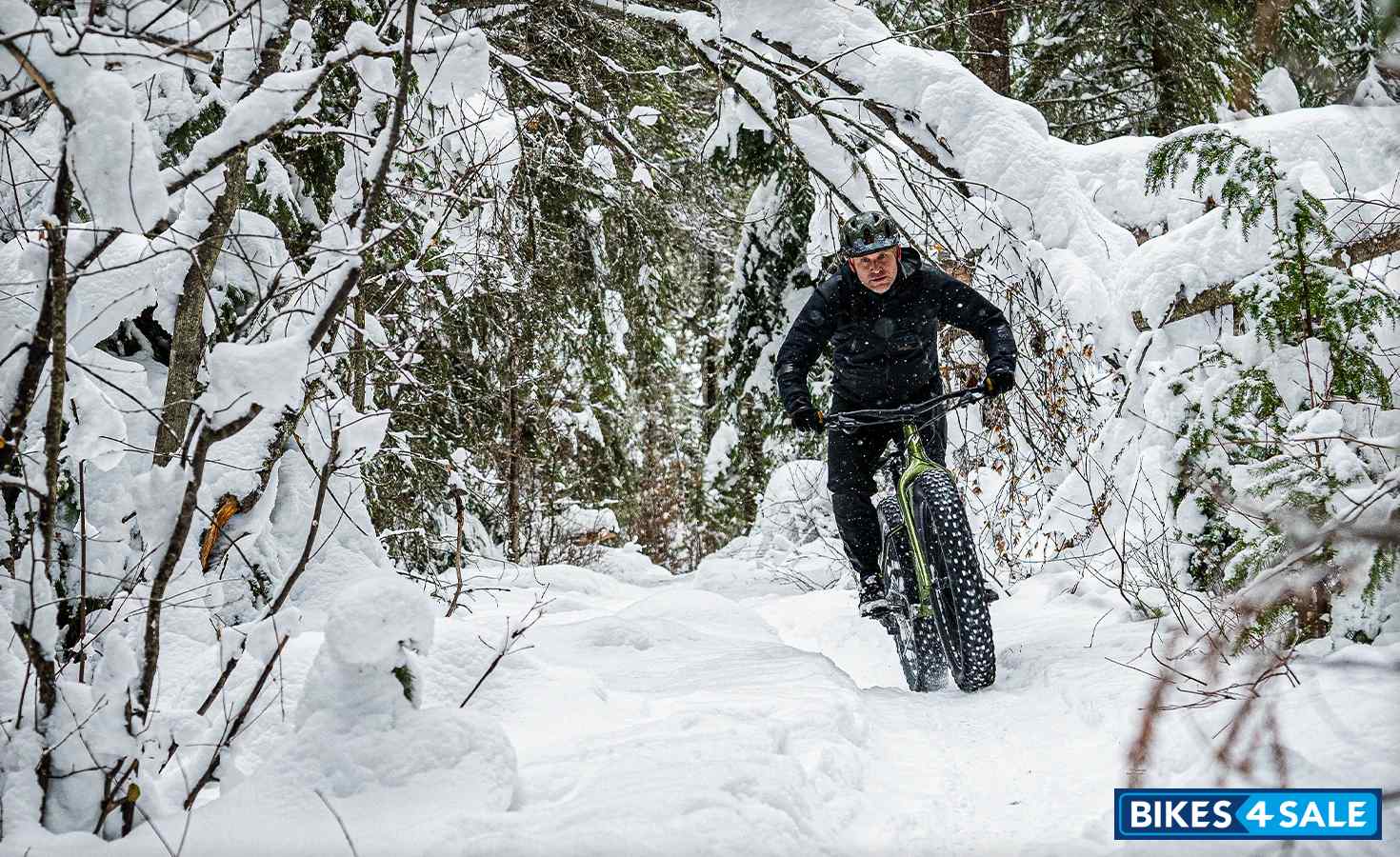 Norco Bigfoot 1