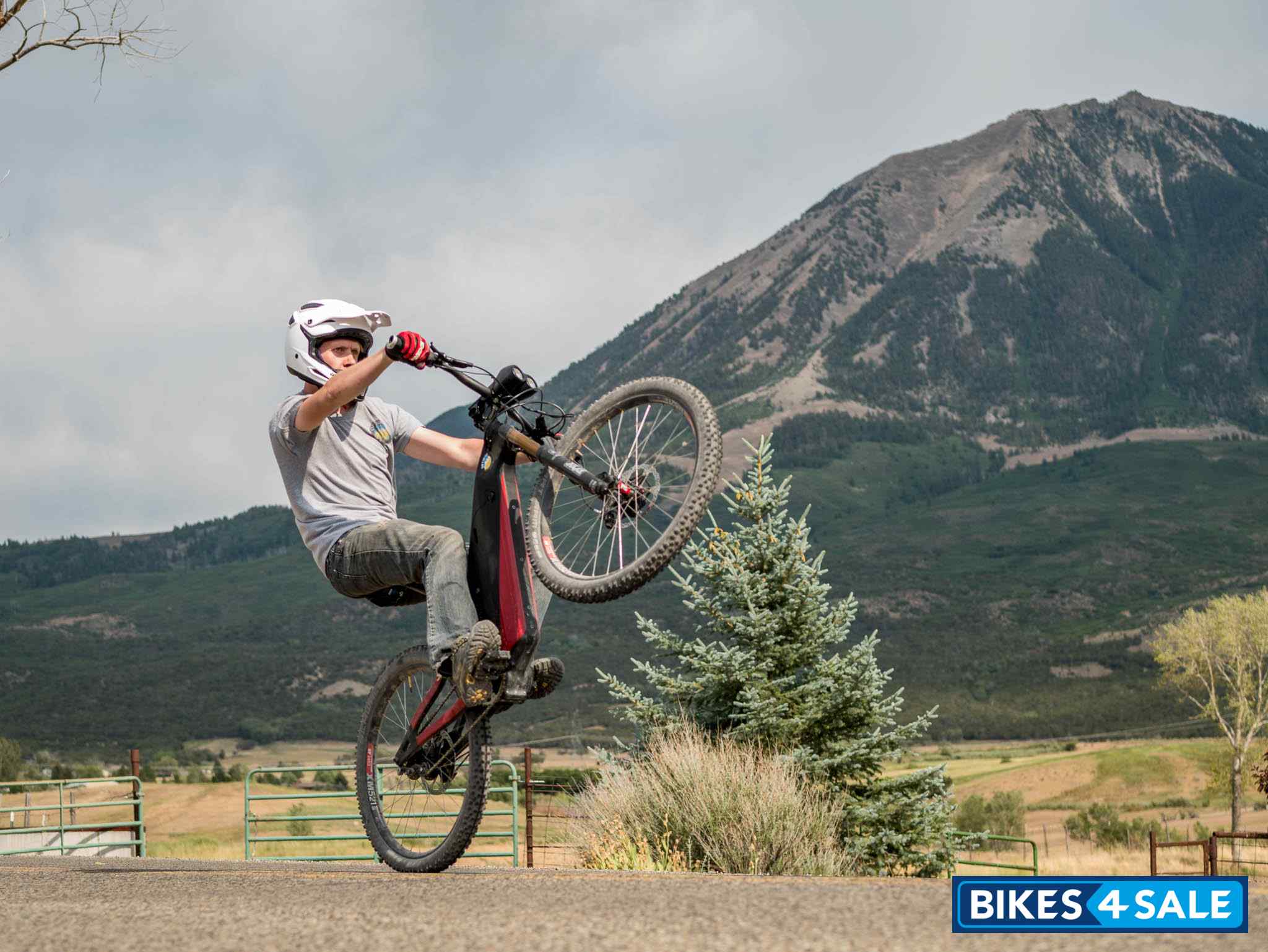 Optibike R15C Full Carbon