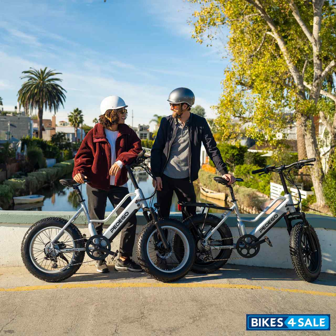 Pedego Element Pro
