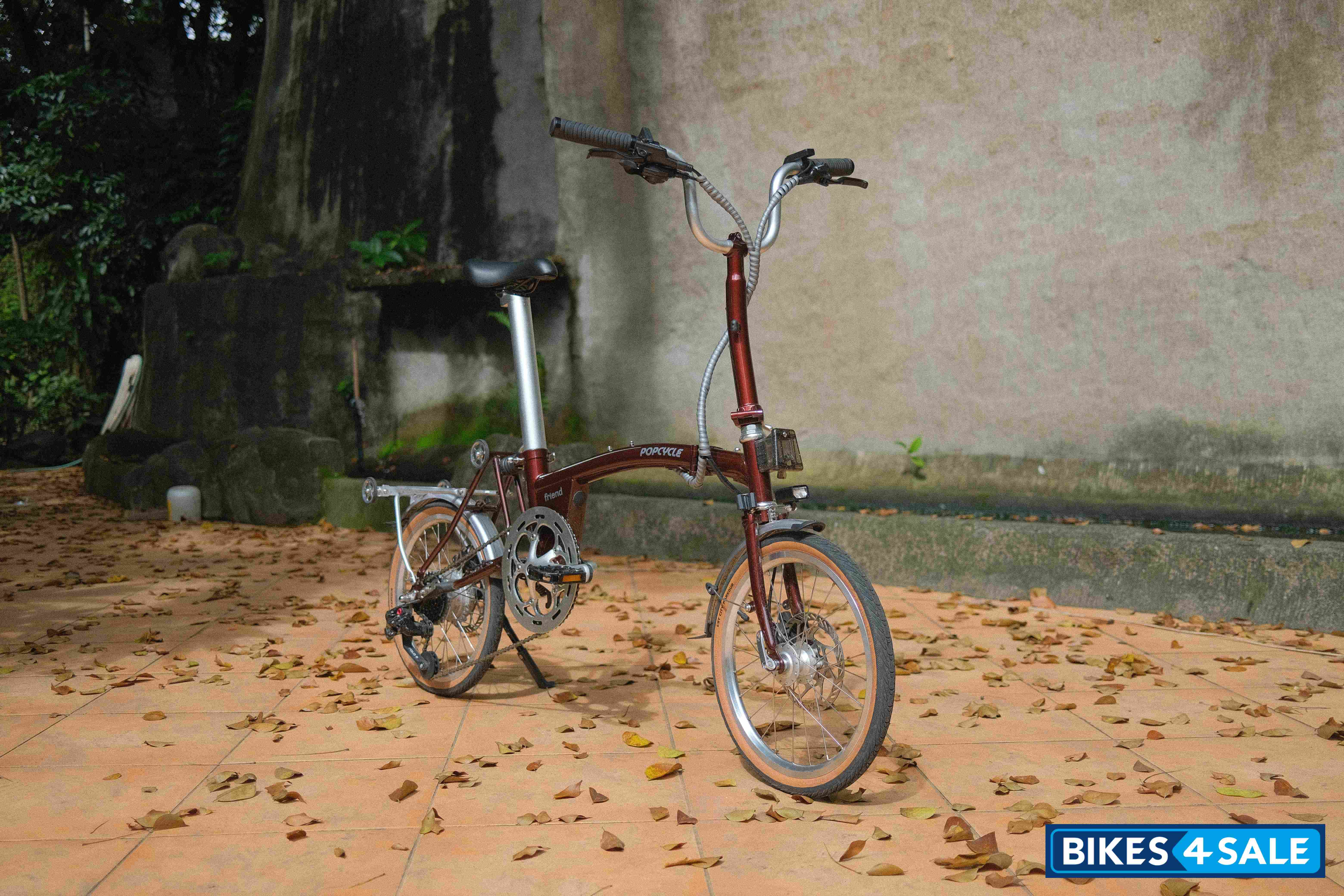 Popcycle Friend Trifold