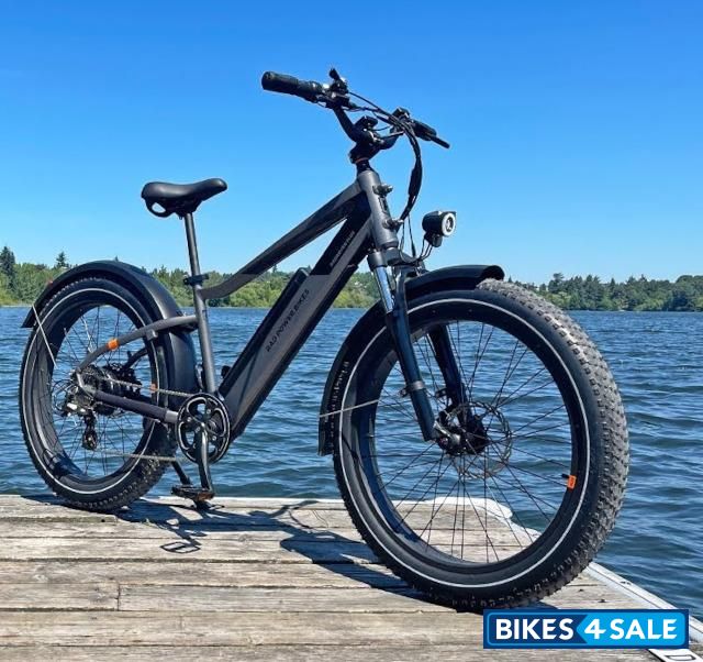 Rad Power Bikes RadRover 6 Plus