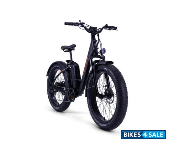 Rad Power Bikes RadRover Step-Thru 1