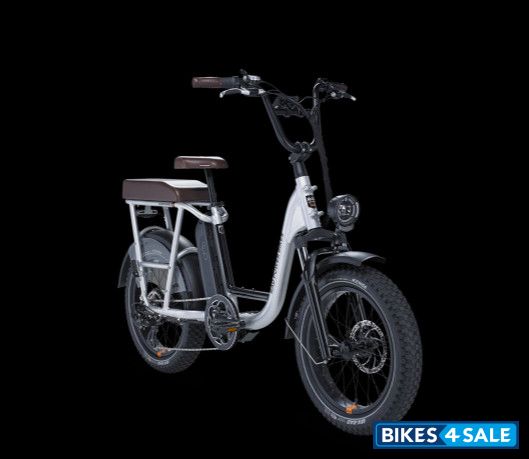 Rad Power Bikes RadRunner Plus