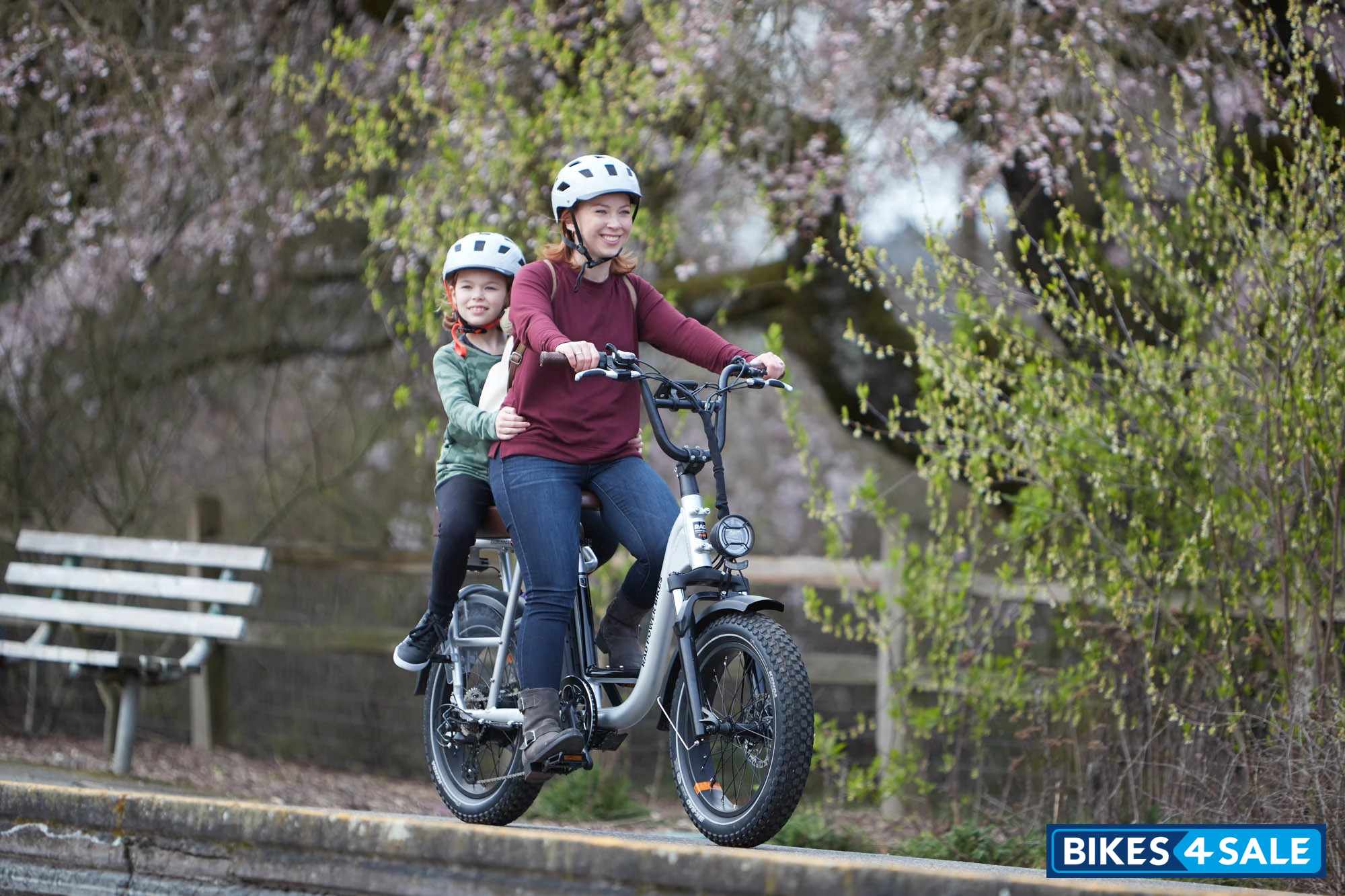 Rad Power Bikes RadRunner Plus