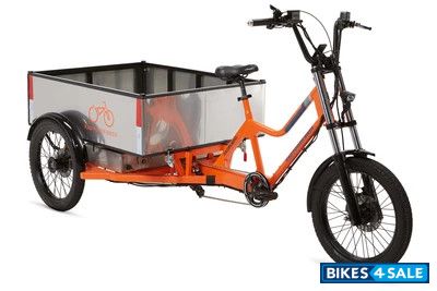 Rad Power Bikes RadWagon 3