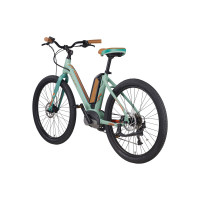 raleigh venture ie step thru