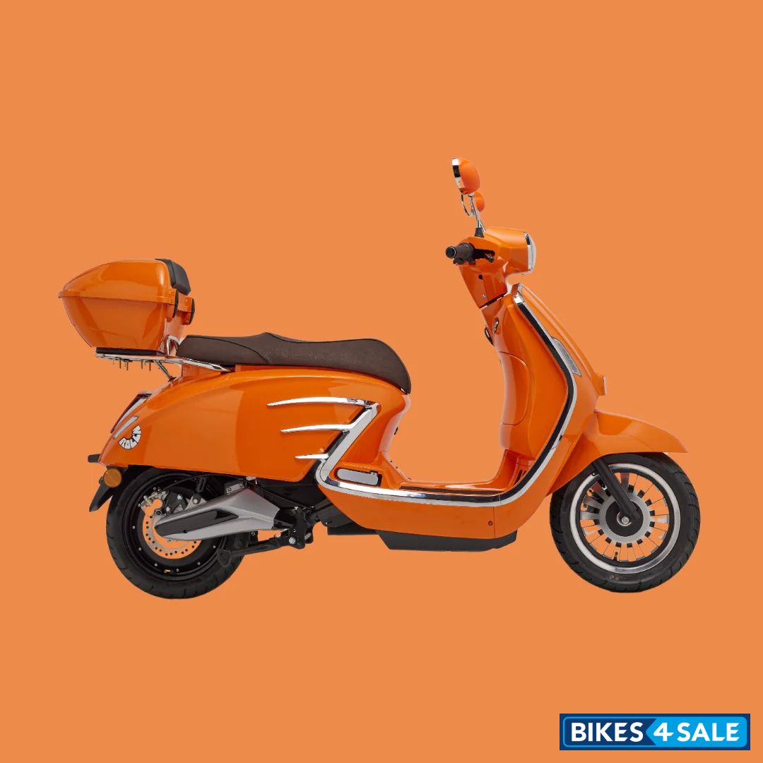 Rolln Freedom Orange