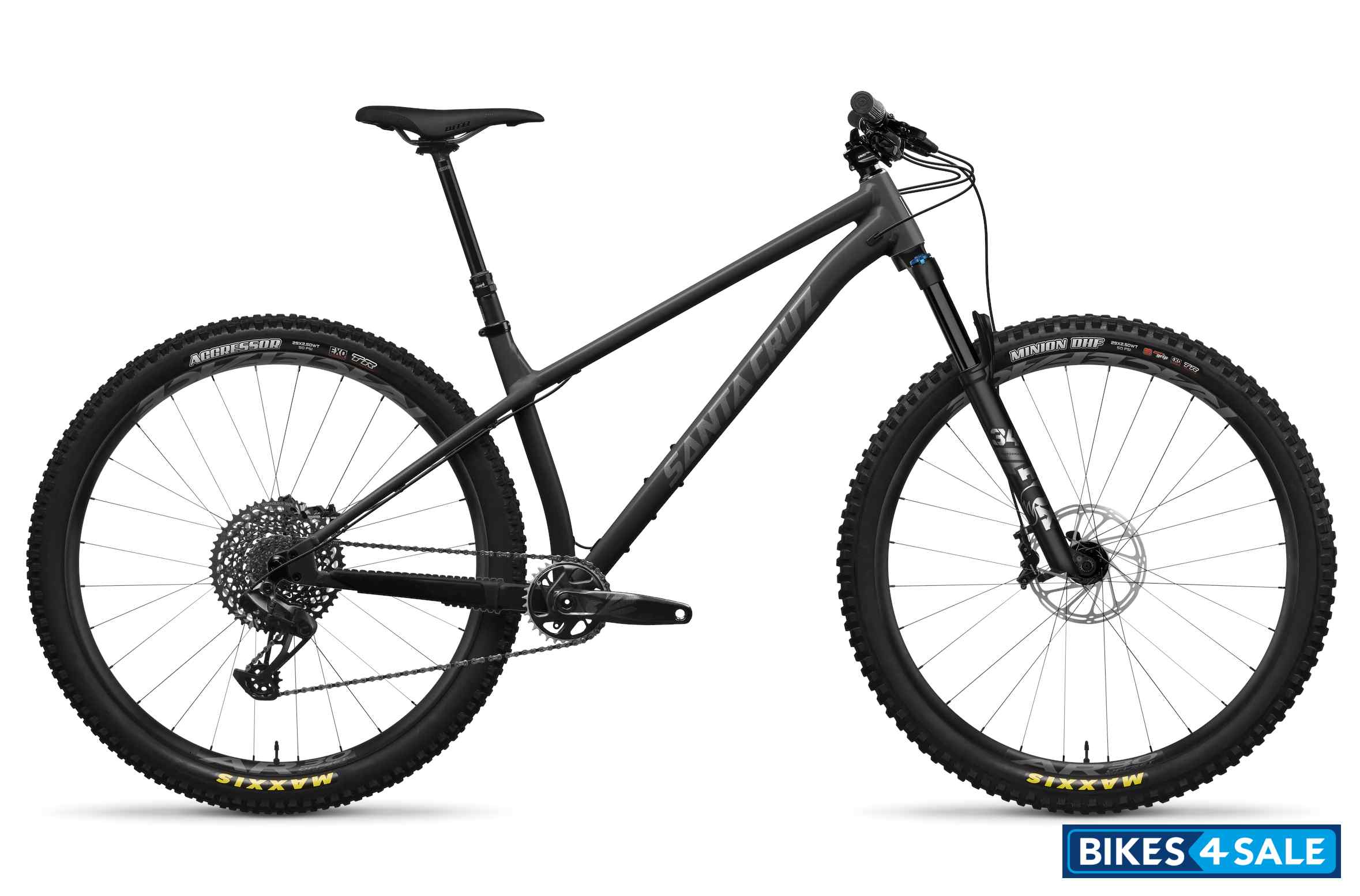 Santa Cruz Chameleon S