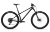 Santa Cruz Chameleon