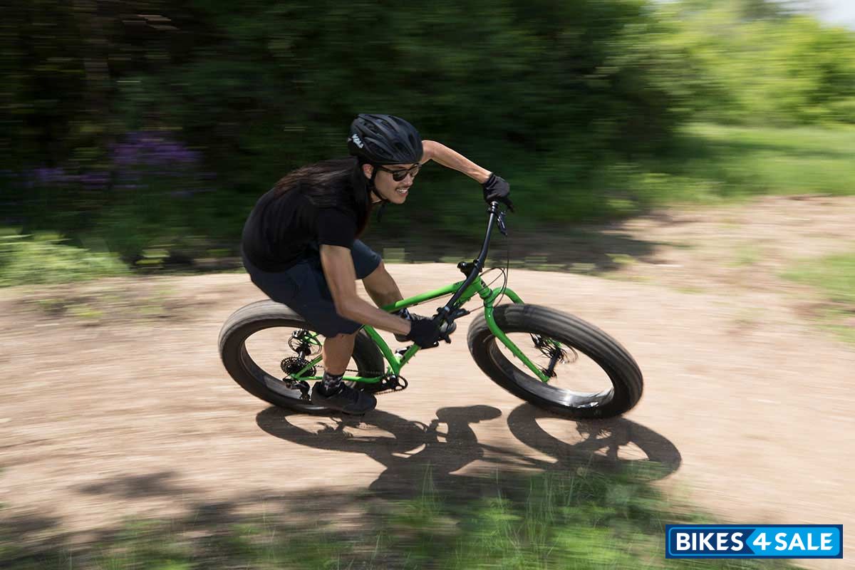 Surly Ice Cream Truck