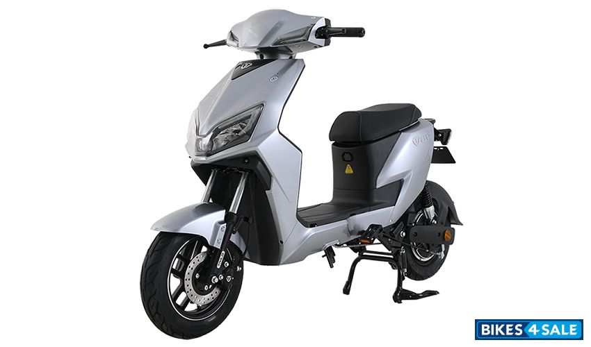 TailG TDT5193Z(Young Leopard)