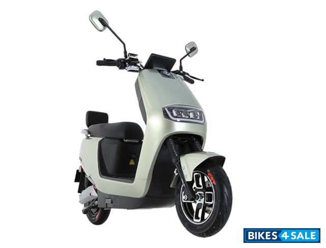 TailG TL1000DT-23(Ferocious Lion)