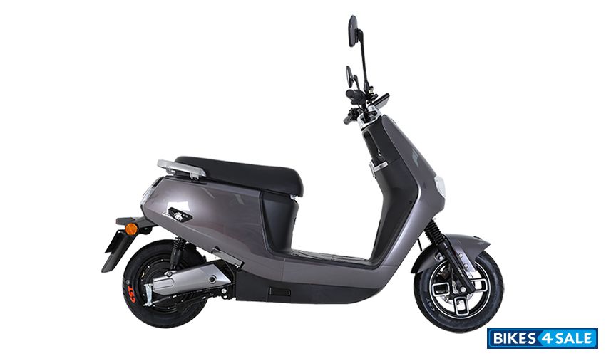 TailG TL1000DT-23(Ferocious Lion)