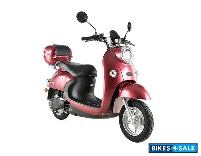 TailG TL1000DT-66(MengJia) TailG TL1000DT-66(MengJia)