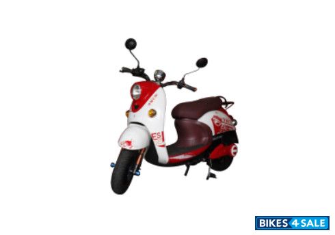 TailG Turtle King White