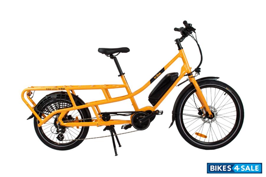 Tribe Evamos Longtail Coral