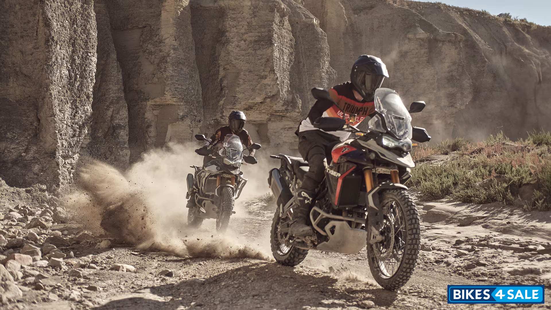 Triumph 2024 Tiger 900 Rally Pro