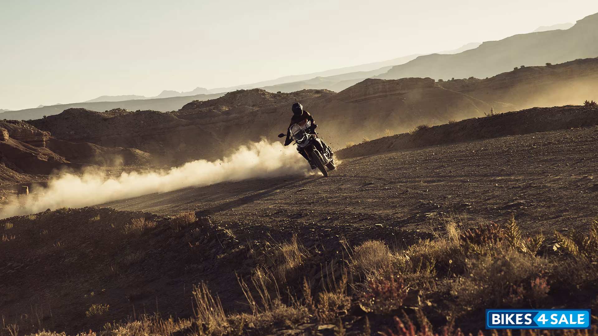 Triumph 2024 Tiger 900 Rally Pro