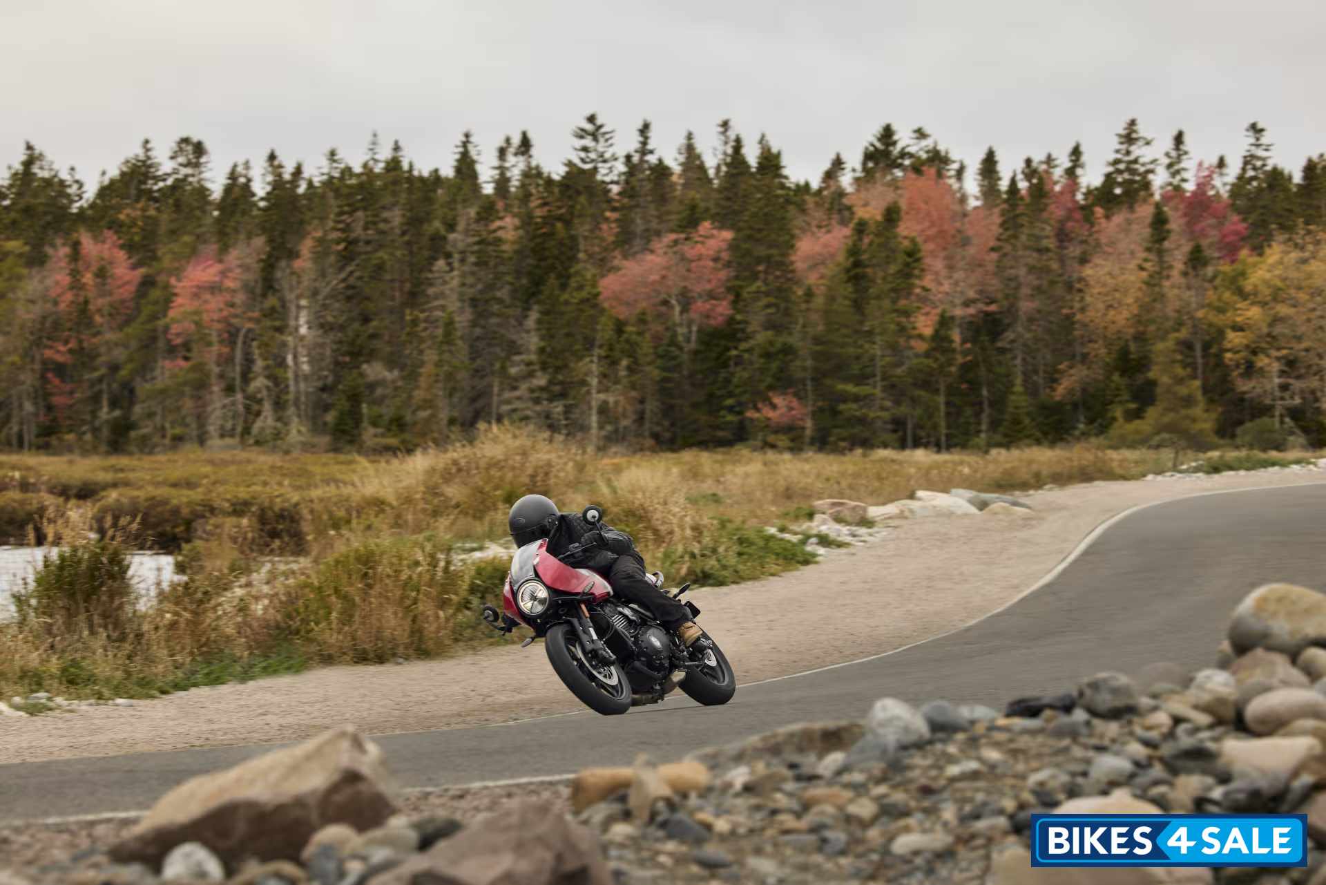 Triumph Thruxton 400