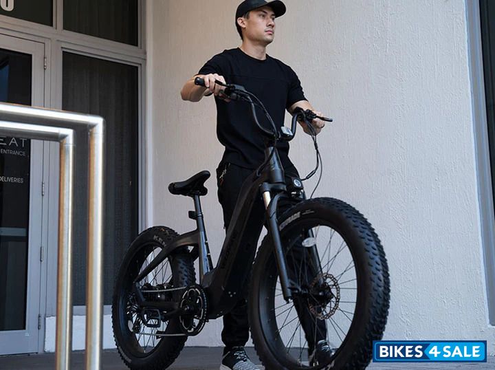 Velowave Grace Step Thru Ebike