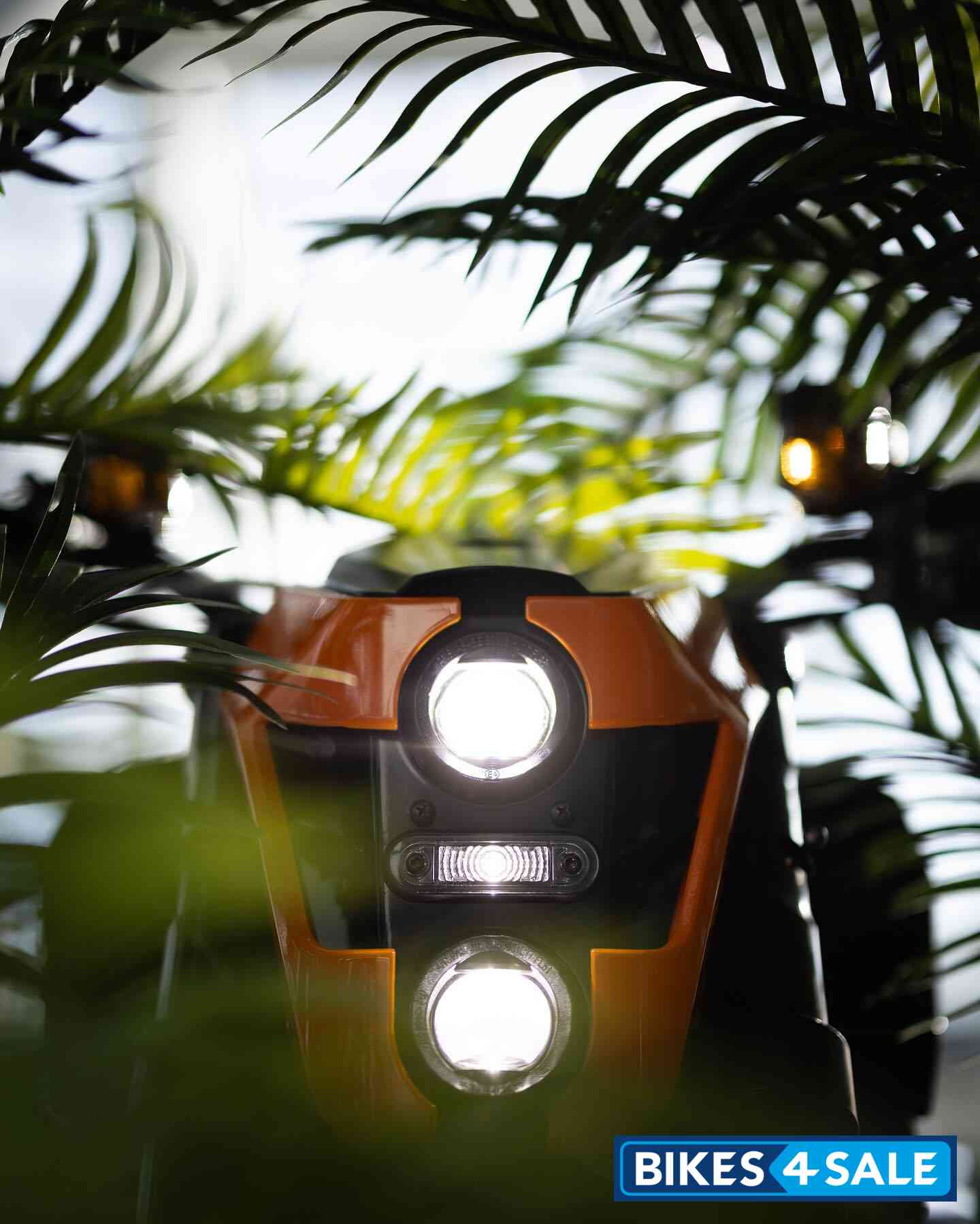 Verge TS Pro California Edition