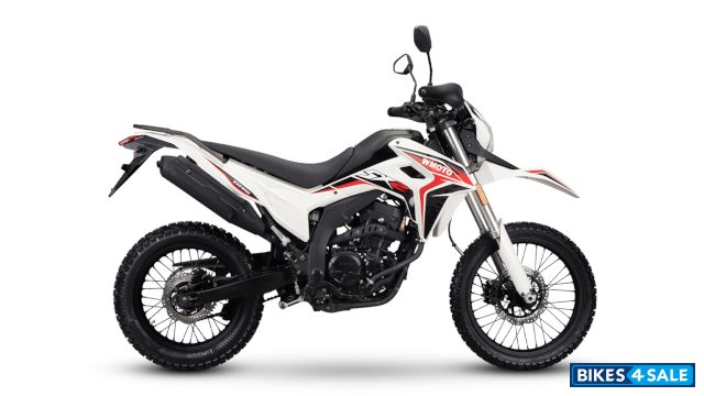 WMoto SX2 300