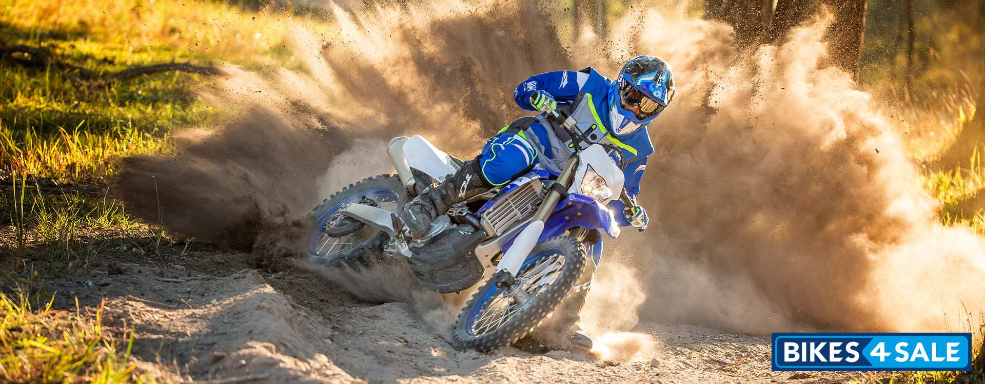 Yamaha 2019 WR450F