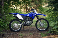 Yamaha 2020 TT-R230