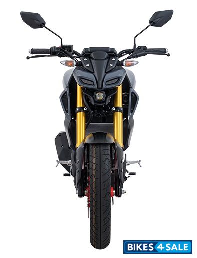 Yamaha 2021 MT-15 Metallic Gray