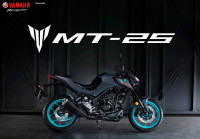 Yamaha MT-25 ABS 2022