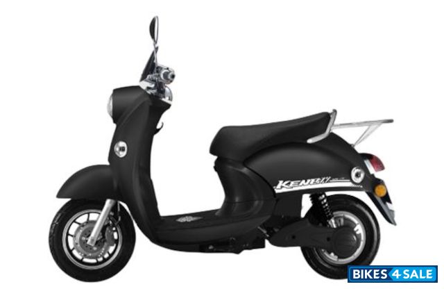 YinXiang Turtle King 1 YinXiang Turtle King 1