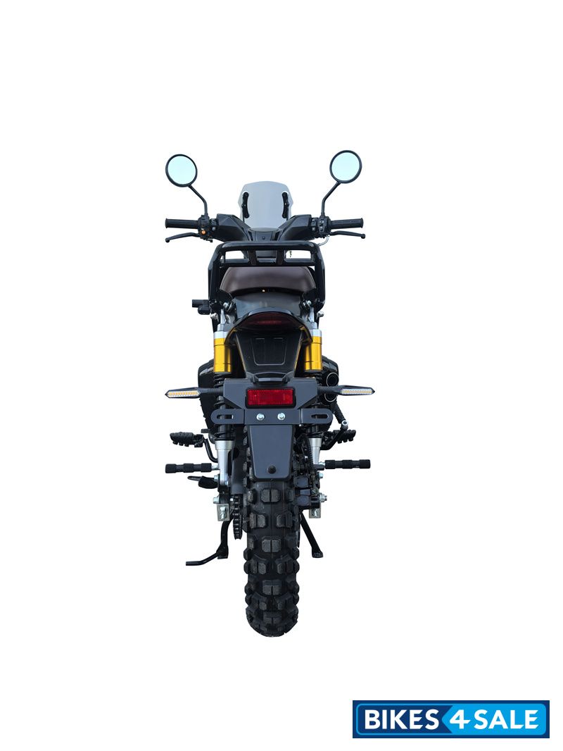 YinXiang Young Animal