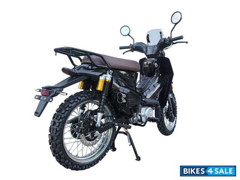 YinXiang Young Animal